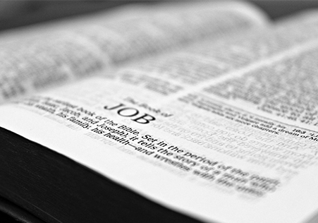 el libro de la biblia de job